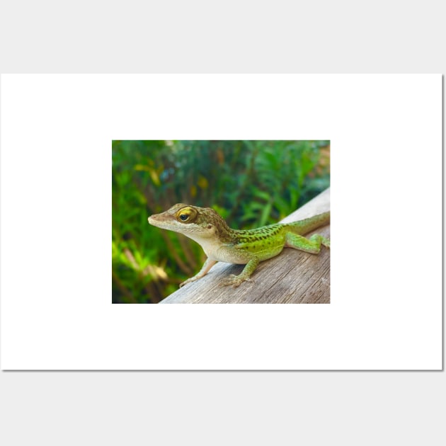 Green Lizard Wall Art by ephotocard